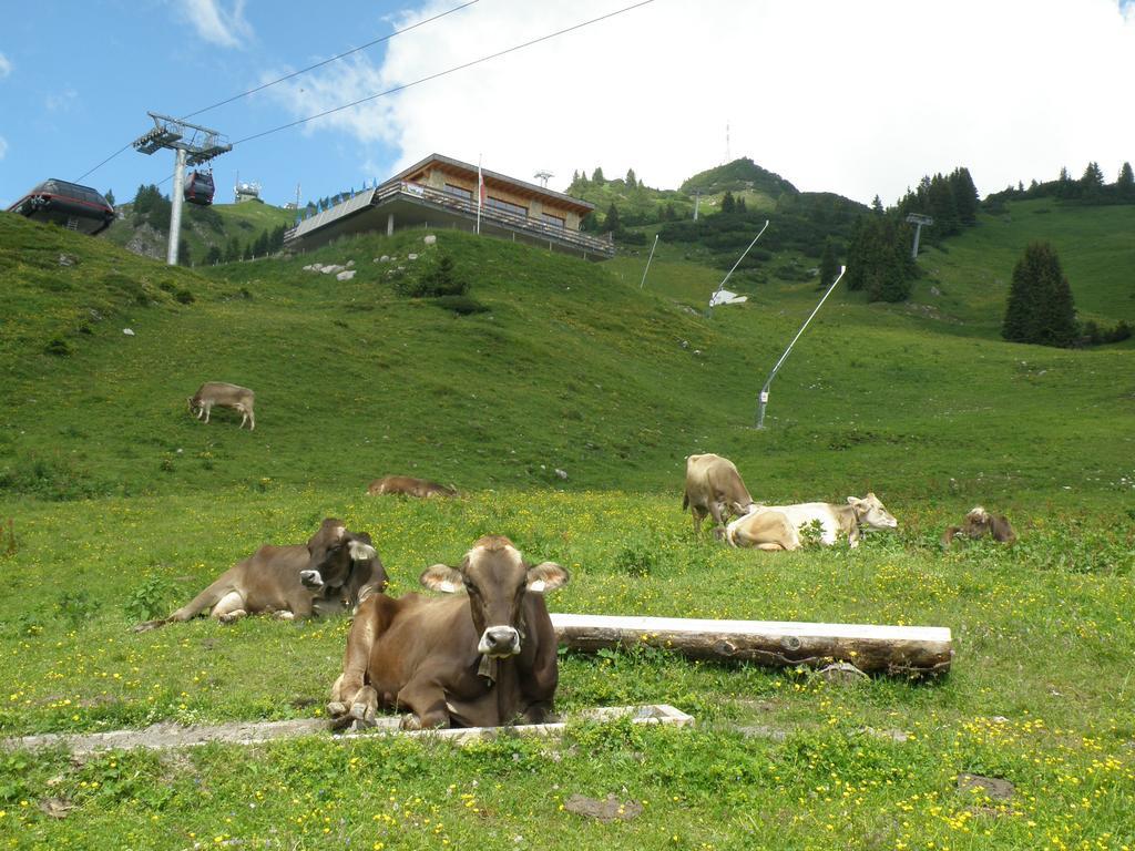 Ferienwohnungen Kathrein รอยท์เทอ ภายนอก รูปภาพ